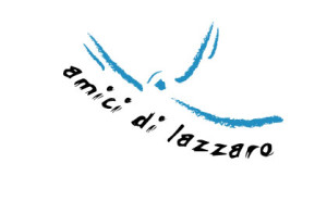 AmiciLazzaro
