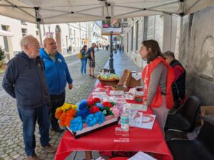 Volontariato in gioco Venaria