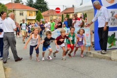 Belvedere 2015 1
