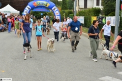 Belvedere2015 4