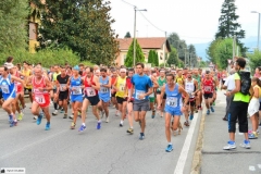 Belvedere2015 6